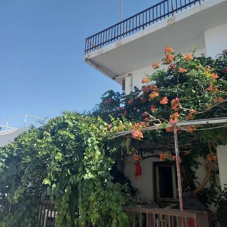 Ampelos Andros Баці Екстер'єр фото